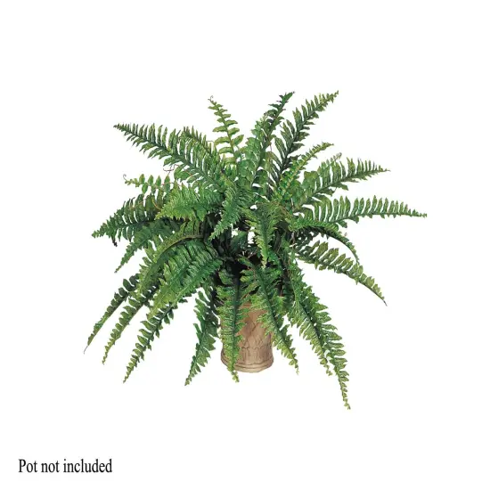 Boston Fern x42, 34"D - Lush & Realistic Greenery for Elevated Home Interiors, Dynamic Event Centerpieces, and Enchanting Garden {1}