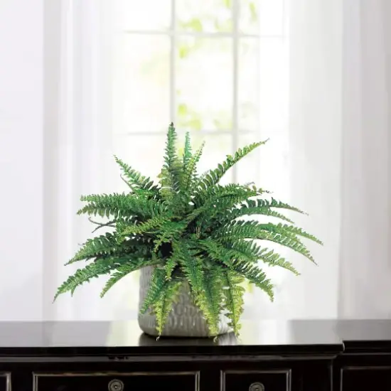 Premium Boston Fern x50, 34"D 2/PC: Lifelike Faux Greenery for Home Displays, Weddings & Centerpieces, Ideal Event & Home Decor {1}