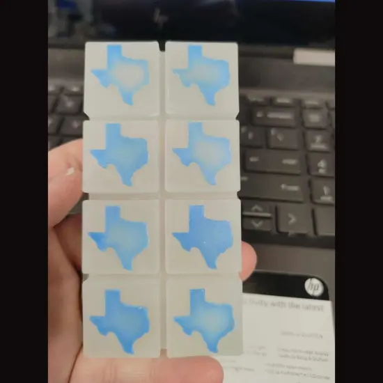 Texas Wax Melt Snap Bar Silicone Mold {4}