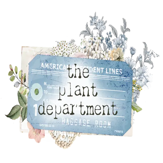 Prima Marketing The Plant Department Collection Rub-Ons - 6"x12" x 3 sheets / rub-ons for Scrapbooking, Journaling Supplies, Planners, Kid DIY Art Crafts, Bullet Journal {2}