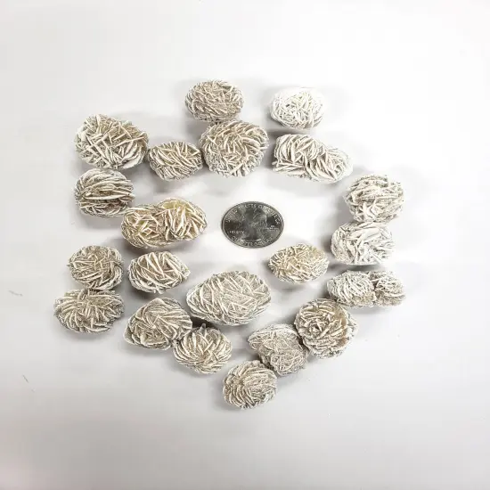 Desert Rose Crystal - Selenite Rose Bulk {4}