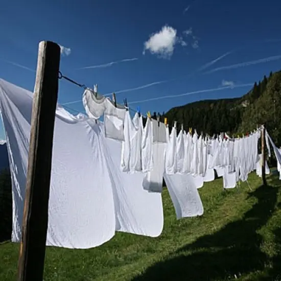 Clean Cotton Fragrance Oil (Our Version of the Brand Name) (64 oz Jug) for Candle Making, Soap Making, Tart Making, Room Sprays, Lotions, Car Fresheners, Slime, Bath Bombs, Warmers&hellip; {2}