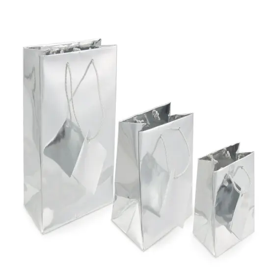 Gift Bag Medium Metallic Silver (Package of 20) {2}