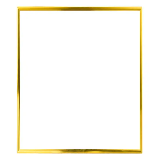 Ambiance Gallery Aluminum Frame Packs of 6 - Assorted Colors {4}