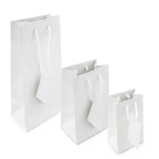 Gift Bag Small Glossy White (Package of 20) {2}