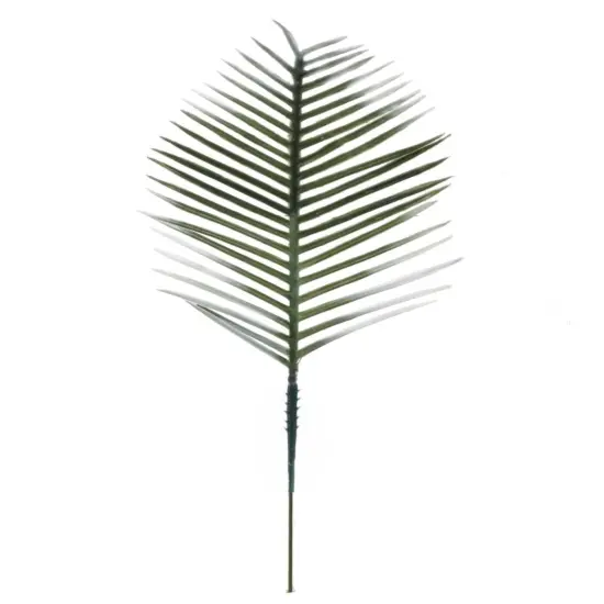 Set of 5 Green-White 6" Cycus Plants - Stylish and Natural Indoor D&eacute;cor, Miniature Botanical Delights for Home and Office Spaces, Floral Home by Artificial Flowers {1}