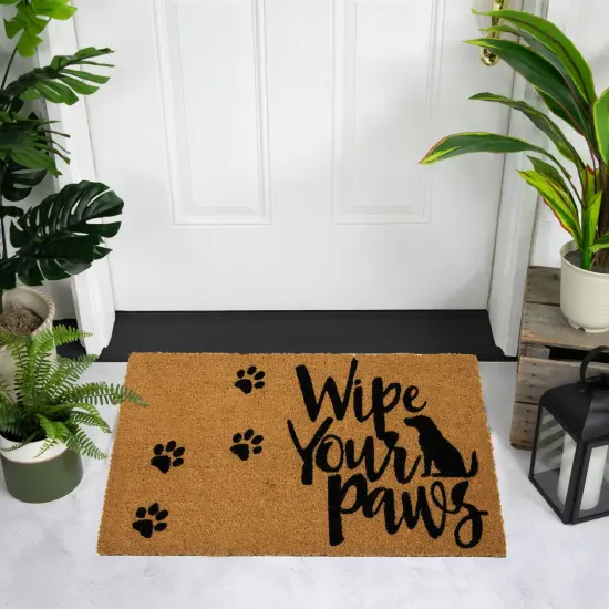 Northlight Natural Coir "Wipe Your Paws" Outdoor Doormat 18" x 30" Brown {3}