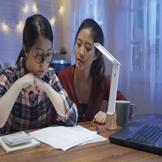 Daylight Smart Go Rechargeable Travel Lamp-White & Rose Gold {3}