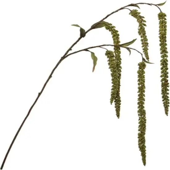 48-Pack: Hanging Green Amaranthus Spray by Floral Home&reg; {1}