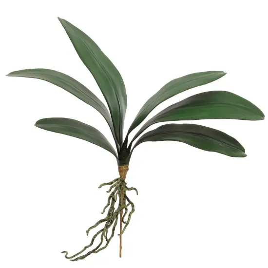 21" Phalaenopsis Orchid Foliage Cluster Pick - 12-Pack, Lifelike Greenery, Perfect for Floral Arrangements, Home & Event D&eacute;cor - Ideal for All Seasons, Floral Home by Artificial Flowers {1}