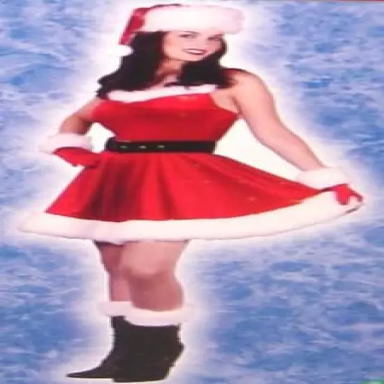 Mrs Santa Baby Costume Dress With Accessory {1}