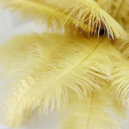 12 pcs 13"-15" long Genuine Ostrich Feathers Gold {1}