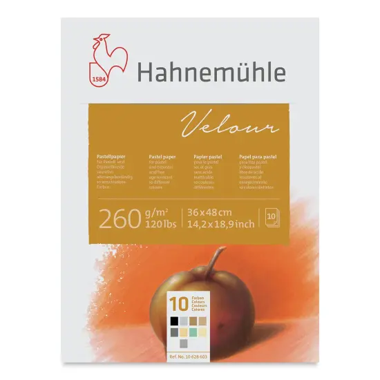 Hahnemuhle Velour Papers - 14-1/5" x 18-9/10", Assorted Colors, 10 Sheets {1}