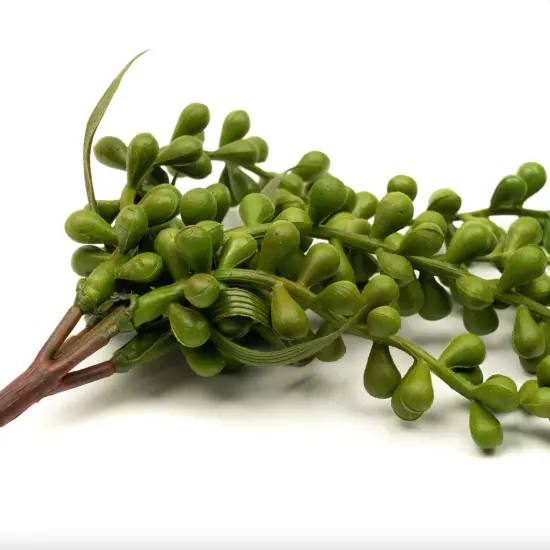 Faux Succulents - String of Pearls [5 Pack] {2}