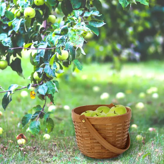 Small Wood Chip Apple Picking Basket {2}
