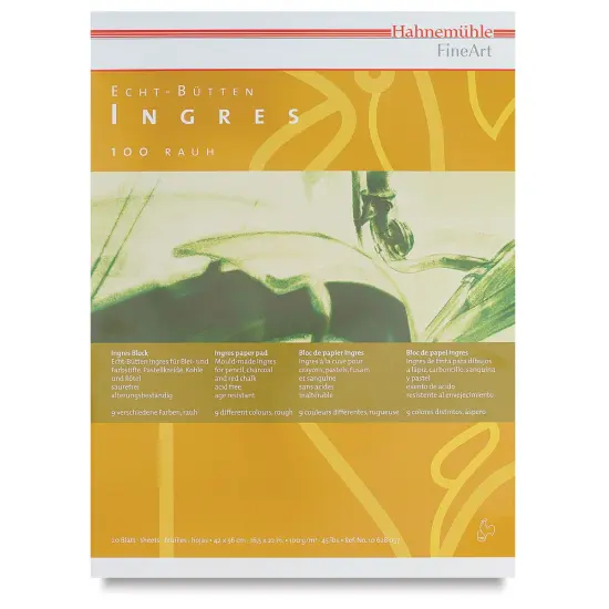Hahnemuhle Ingres Pad - 16.5" x 22", Assorted, 20 Sheets {1}