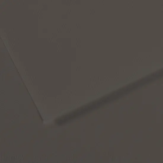 Canson Mi-Teintes Drawing Papers - 8-1/2" x 11", Charcoal Gray, Pkg of 25 Sheets {1}