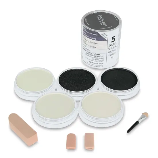 PanPastel Pearl Mediums - Assorted, Set of 5 {1}