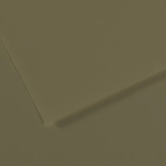 Canson Mi-Teintes Drawing Papers - 8-1/2" x 11", Olive Green, Pkg of 25 Sheets {1}