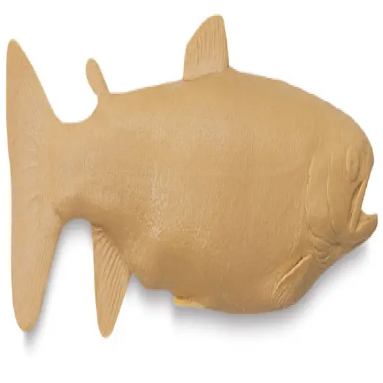 Gyotaku Fish Printing Replica - Trout {1}