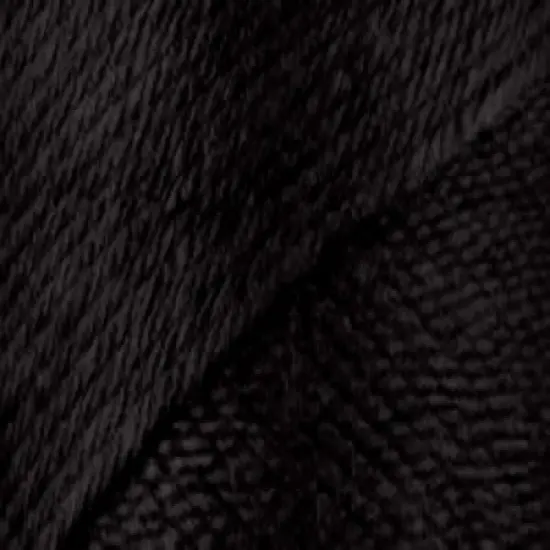 Multipack of 12 - Caron Simply Soft Solids Yarn-Black {3}