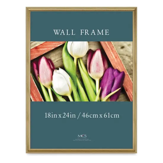 MCS Renaissance Frame - Provincial Gold, 18" x 24" {1}