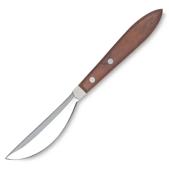 Richeson Canvas Scraper - Long Blade {2}
