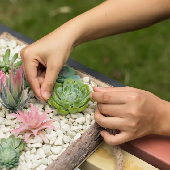 Indoor and Outdoor Set of 2 Brown Vintage Bark Square Wooden Mini Flowerpot Planter {5}