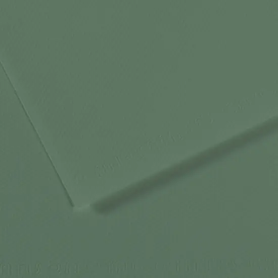 Canson Mi-Teintes Drawing Papers - 8-1/2" x 11", Sage Green, Pkg of 25 Sheets {1}