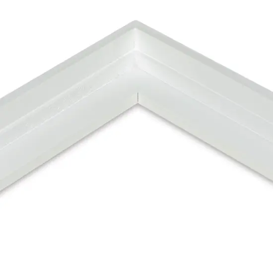 Ampersand Floaterframe - Thin, White, 16" x 20", 7/8" {1}