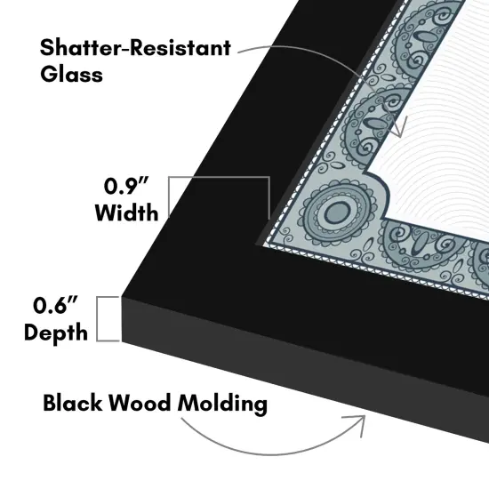 Americanflat 8.5x11 Diploma Frame - Certificate Frame for Displaying Achievements - Shatter Resistant Glass - Adjustable Hanging Hardware - Includes Easel {3}