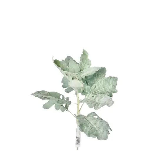TCT Crafts Artificial 16" Grey Dusty Miller Spray - Craft and Home Decor Supply - Artificial Greenery for Arrangements-FL4533-GY {1}