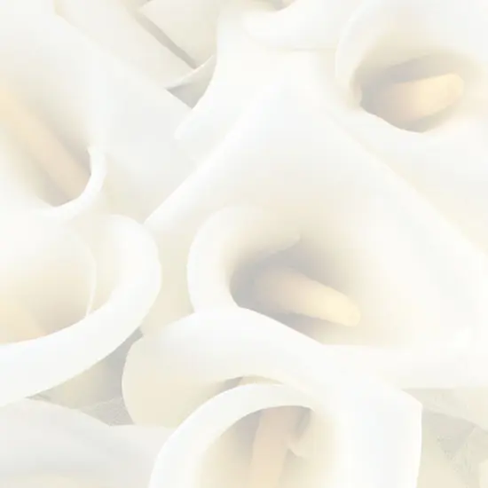 Great Papers! White Calla Lilies Stationery Letterhead, Invitations and Announcements, Printer Friendly, 8.5"x11", 80 Pack {2}