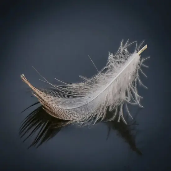 White Feather - Art paper for Decoupage and Mixed Media by Painting Lady Designs {1}