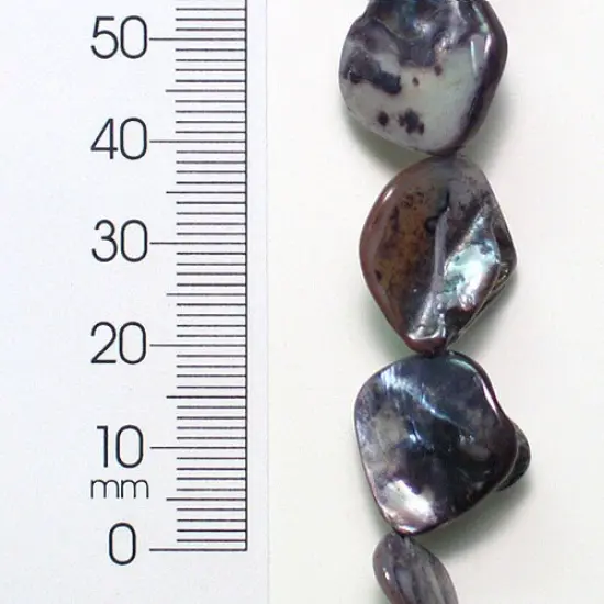 6 Packs of Tinted Shell Chunk Gray 2x8" Strand {1}