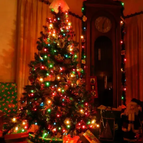 Multicolor Christmas Lights with Green Wire, 66 Feet 300 Count {1}