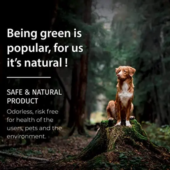 Interior Water Based Wood Stain - Natural Stain for Furniture, Moldings, Wood Paneling, Cabinets (Antique Walnut TEW-212-12, 12 oz) {3}