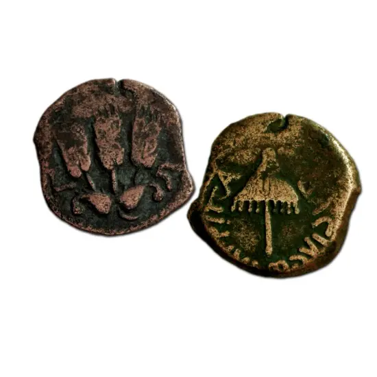 The King Herod Ancient Coin Collection {2}