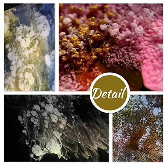 White & Black Alcohol Ink Set - 4 Ounce White and Black Alcohol-Based Inks for Resin Petri Dish Making, Epoxy Resin Painting, Yupo Paper - Alcohol Paint Color Dye for Resin Art, Tumbler - 60ml Each {3}