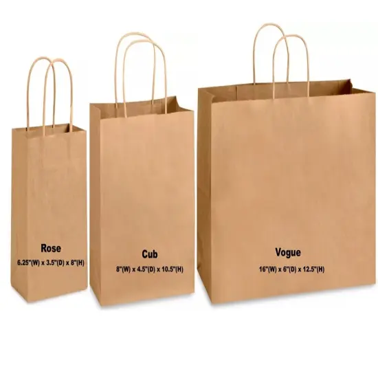 Kraft Paper Bag Party Shopping Gift Bags Retail Merchandise with Handles {4}