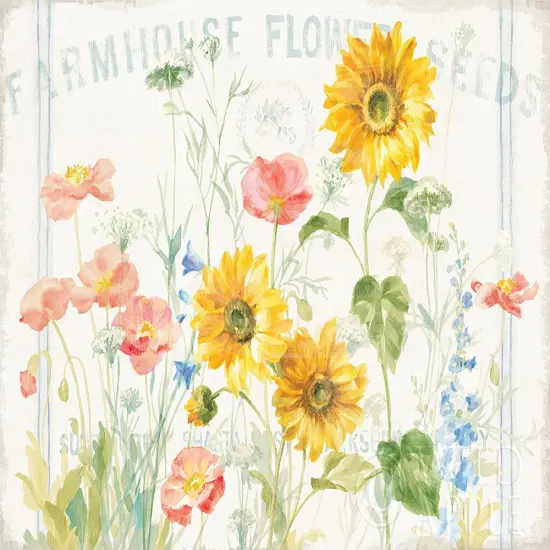 Floursack Florals I Poster Print by Danhui Nai - Item # VARPDX38753 {1}