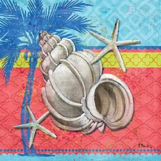 Pacific Shells I Poster Print by Paul Brent - Item # VARPDXBNT623 {1}