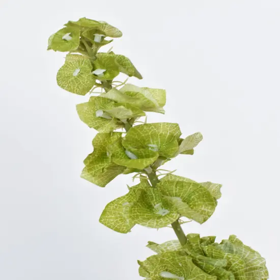 29" Faux Bells of Ireland {1}