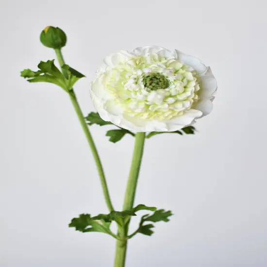 21" Faux Double Ruffled Ranunculus Stem White {3}