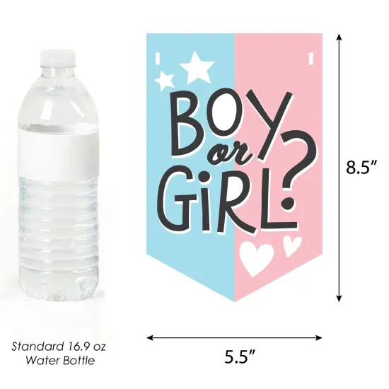 Big Dot of Happiness Baby Gender Reveal - Team Boy or Girl Party Bunting Banner - Party Decorations - Gender Reveal {3}