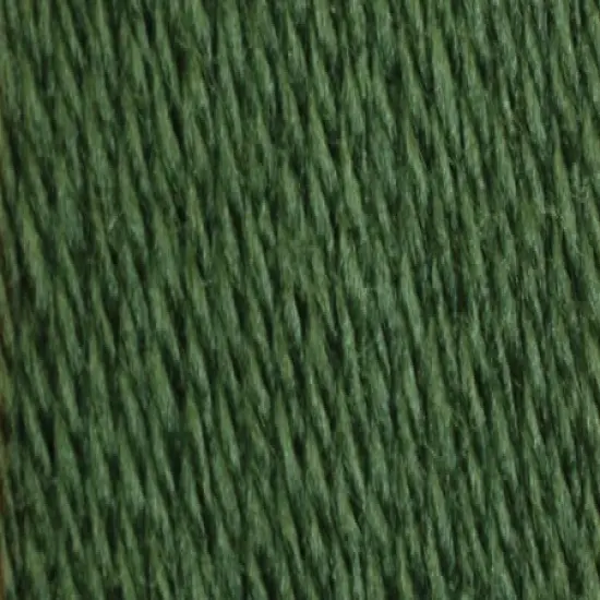 (Pack of 3) Patons Canadiana Yarn - Solids-Dark Green Tea {3}