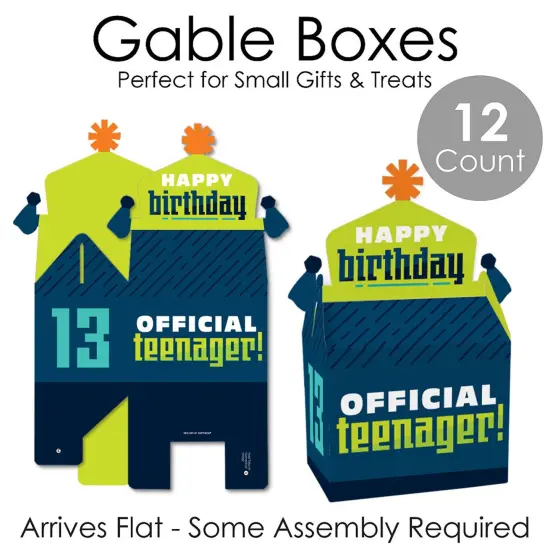 Big Dot of Happiness Boy 13th Birthday - Treat Box Party Favors - Official Teenager Birthday Party Goodie Gable Boxes - Set of 12 {7}