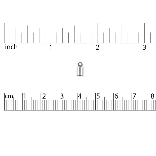 End Cap with Loop 4mm Silver Color (Package of 2) {4}