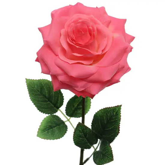 Vibrant 20" Fuchsia Open Rose Silk Flowers Set of 12 - Stunning 6" Diameter Lifelike Blossoms for Home D&eacute;cor, Weddings, and Special Occasions, Floral Home by Artificial Flowers {2}