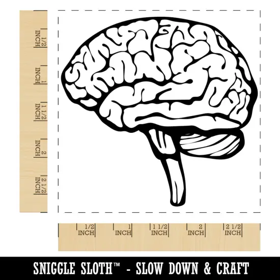 Human Brain with Cerebellum and Medulla Oblongata Square Rubber Stamp for Stamping Crafting {1}